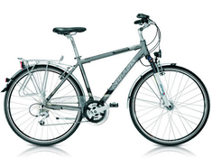 Kellys Aeron